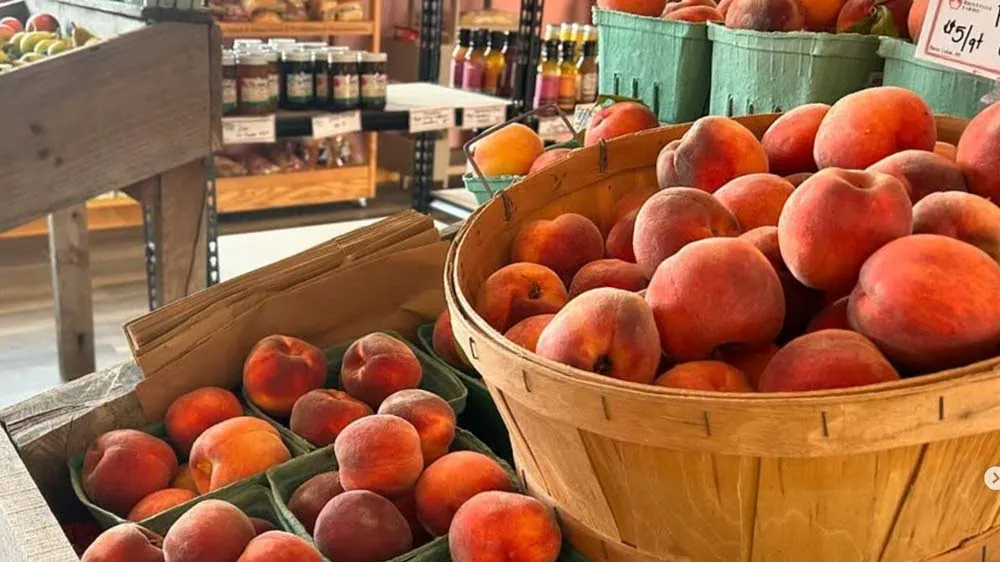 Fresh local fruit