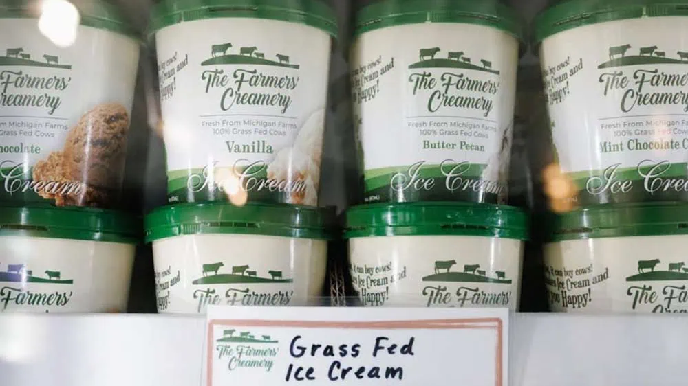 Grass fed ice cream