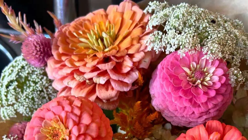 Lively farm flowers