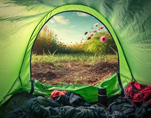 Looking out a green tent